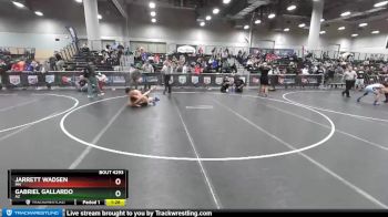 145 lbs Semifinal - Jarrett Wadsen, MN vs Gabriel Gallardo, AZ