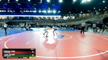 144 lbs Cons. Round 3 - Roman York, Cleveland vs Alex Salser, Greenbrier