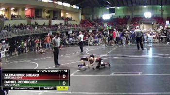 45 lbs Semifinal - Daniel Rodriguez, GI Grapplers vs Alexander Sheard, Nebraska Boyz