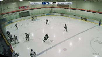 Replay: Vipr - 2024 PCHA Blue vs Calgary IHA | Jan 14 @ 1 PM