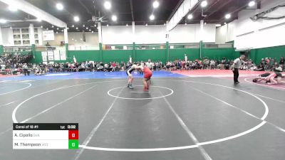 215 lbs Consi Of 16 #1 - Antonio Cipollo, Guilderland vs Mason Thompson, Victor