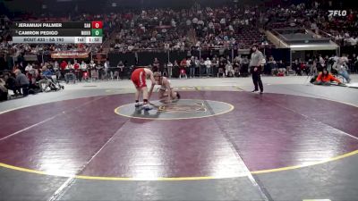 5A 190 lbs 1st Place Match - Jeramiah Palmer, Sandpoint vs Camron Pedigo, Mountain Home