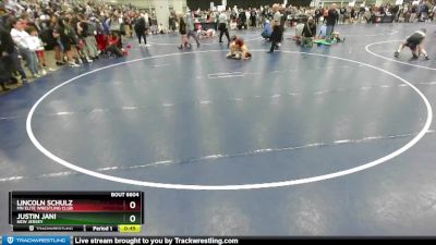 96 lbs Cons. Round 4 - Lincoln Schulz, MN Elite Wrestling Club vs Justin Jani, New Jersey