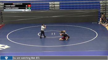133 lbs Cons. Round 3 - Joseph Custodio, Marymount University vs Caleb Haney, Roanoke College