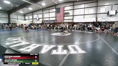 48 lbs Quarterfinal - McCoy Elton, Payson Lions Wrestling Club vs Stetson Hansen, Westlake