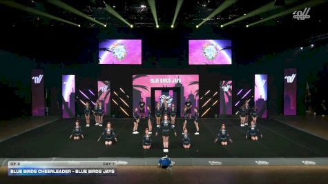 Blue Birds Cheerleader - Blue Birds JAYS [2026 OP 2 Day 1] 2026 Summer All Level Championship West
