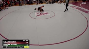 82 lbs Semifinal - Dominick Jackson, Minnesota vs Callan Shelstad, Centennial Youth Wrestling