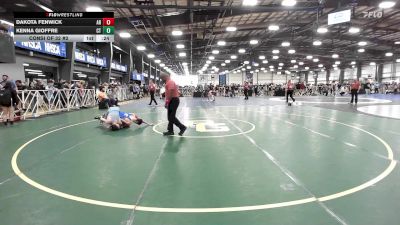 120 lbs Consi Of 32 #2 - Dakota Fenwick, AR vs Kenna Gioffre, CT