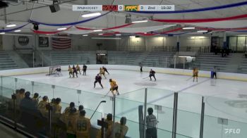 Replay: Home - 2024 Blaze vs CHI Cougars | Jan 17 @ 12 PM