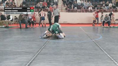135_B lbs Quarterfinal - Anthony Maushardt, Loyalsock vs Braiden Harris, Elco