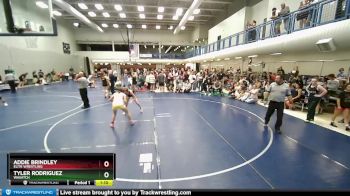 106 lbs Round 2 - Addie Brindley, Elite Wrestling vs Tyler Rodriguez, Wasatch