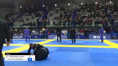 MATHIAS FERNANDES RIBEIRO vs THIAGO FALCÃO GOIABEIRA 2024 European Jiu-Jitsu IBJJF Championship