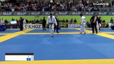 JORGE LUIZ vs TOMOYUKI HASHIMOTO 2019 European Jiu-Jitsu IBJJF Championship