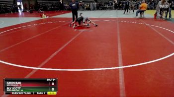 110 lbs Champ. Round 1 - Gavin Rau, New Prague vs Bly Scott, Worthington