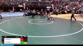 100 lbs Quarterfinal - Katey Valdez, Doherty vs Candice Brickell, Coronado