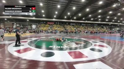 95 lbs Cons. Round 3 - DaMarkus Borman, Ironhawk Wrestling Academy vs Palmer Brosovich, Team Champs