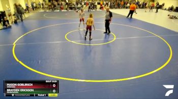 88 lbs Cons. Round 1 - Brayden Erickson, Minnewaska vs Mason Goblirsch, Wabasso