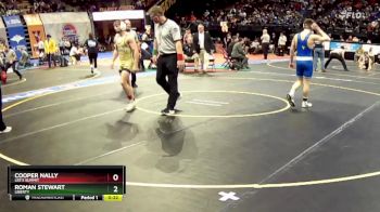 132 Class 4 lbs 3rd Place Match - Cooper Nally, Lee`s Summit vs Roman Stewart, Liberty