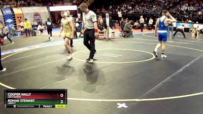 132 Class 4 lbs 3rd Place Match - Cooper Nally, Lee`s Summit vs Roman Stewart, Liberty