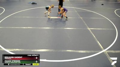 77 lbs Cons. Round 5 - Mason Stenson, Pinnacle Wrestling Club vs Benjamin Gadient, Minnesota