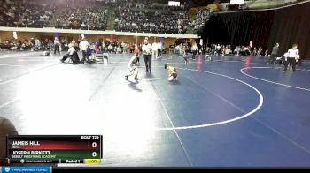 77 lbs Cons. Round 3 - Joseph Birkett, Sebolt Wrestling Academy vs Jameis Hill, Iowa