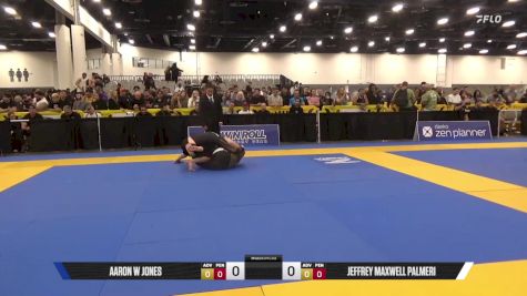 Jeffrey Maxwell Palmeri vs Aaron W Jones 2025 World IBJJF Jiu-Jitsu No-Gi Championship