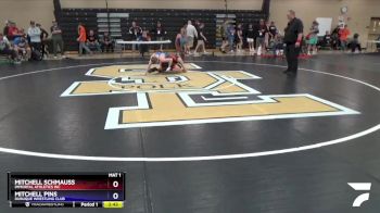 113 lbs Semifinal - Mitchell Schmauss, Immortal Athletics WC vs Mitchell Pins, Dubuque Wrestling Club