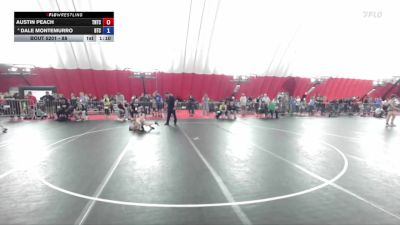 88 lbs Semifinal - Austin Peach, Team Nazar Training Center vs Dale Montemurro, B.A.M. Training Center