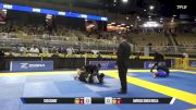 Amrick Singh Bisla vs Igor Ferreira Ribeiro 2025 Pan Jiu Jitsu IBJJF Championship
