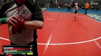 95 lbs Semis & 1st Wrestleback (8 Team) - Eli Hanson, K-W vs Tyson Meagher, Paynesville