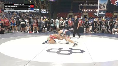 126 lbs Cons. Rd Of 128 - Brody Gossen, South Dakota vs Seth Hall, Utah