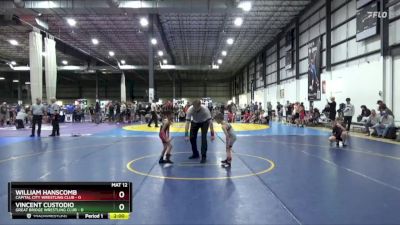 45 lbs Round 1 (4 Team) - Vincent Custodio, GREAT BRIDGE WRESTLING CLUB vs William Hanscomb, CAPITAL CITY WRESTLING CLUB