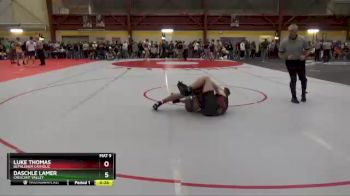 165 lbs Cons. Round 4 - Luke Thomas, Bethlehem Catholic vs Daschle Lamer, Crescent Valley