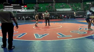 6A 113 lbs 5th Place Match - Caleb Hovey, Pell City vs Caleb Barry, Buckhorn