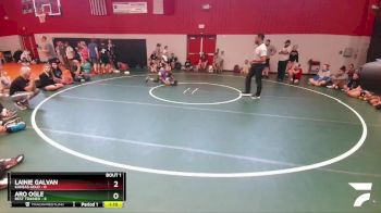 95 lbs Finals (2 Team) - Aro Ogle, Best Trained vs Lainie Galvan, Kansas Gold