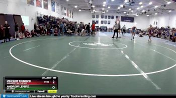 141 lbs Champ. Round 1 - Vincent Menozzi, University Of Chicago vs Andrew LeMire, St Johns