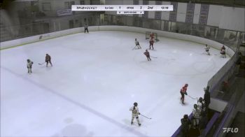 Replay: Home - 2023 Ice Cats U12 vs MYHA U12 | Nov 11 @ 11 AM