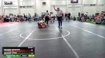 132 lbs Round 4 (10 Team) - Micaden Meadows, Tar River WC vs Brayden Trigg, Barnesville