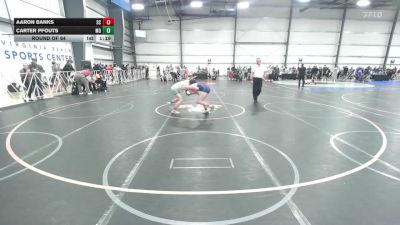 119 lbs Round Of 64 - Aaron Banks, SC vs Carter Pfouts, MO