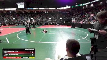 60 lbs Quarterfinal - Juliana Matteo, LDY1 vs Josilyn Wisecup, DAB1