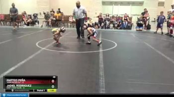 48 lbs Round 1 (4 Team) - Matteo Peña, Team Palmetto vs Jadiel Rodriguez, East Coast Elite