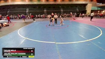 114 lbs Champ. Round 3 - Aislinn Phillips-Sanders, Nevada Union vs Taylor Wells, Granite Bay