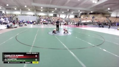 60 lbs Champ. Round 2 - Charlotte Robbins, Bison Takedown Club vs Aj Wharton, Buckhorn Youth Wrestling Club