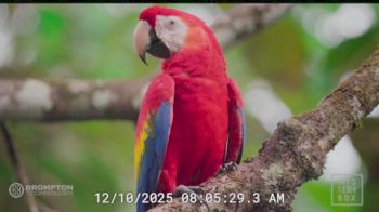 Replay: Andrew Test | Dec 10 @ 8 AM