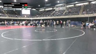 93 lbs Quarterfinal - Trent Stricker, Reading vs James Sowa, Wexford