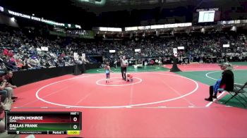 65 lbs Cons. Round 3 - Carmen Monroe, FDMA vs Dallas Frank, NMR3