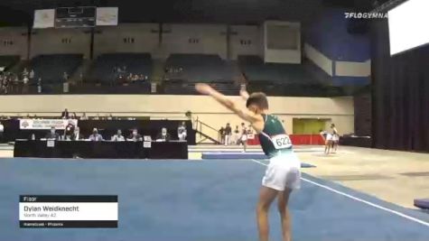 Dylan Weidknecht - Floor, North Valley AZ - 2021 USA Gymnastics Development Program National Championships