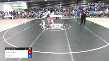 172 lbs Quarterfinal - Caitlyn Flaherty, TX vs Alexandria Alli, OH