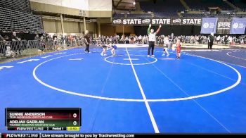 67 lbs Cons. Round 4 - Sunnie Anderson, Team Aggression Wrestling Club vs Adeliah Gaerlan, Thunder Mountain Wrestling Club