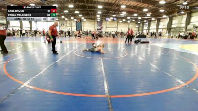 113 lbs Consi Of 64 #2 - Cael Bruce, NY vs Ethan Valdisera, MD